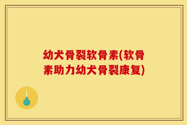 幼犬骨裂软骨素(软骨素助力幼犬骨裂康复)