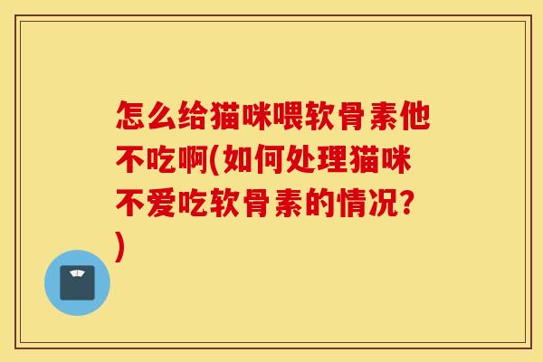 怎么给猫咪喂软骨素他不吃啊(如何处理猫咪不爱吃软骨素的情况？)