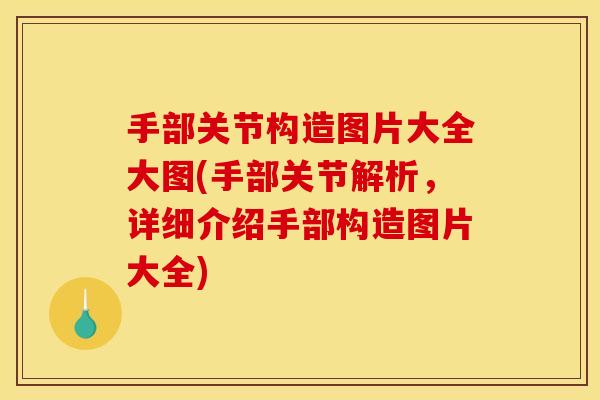 手部关节构造图片大全大图(手部关节解析，详细介绍手部构造图片大全)