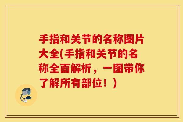 手指和关节的名称图片大全(手指和关节的名称全面解析，一图带你了解所有部位！)