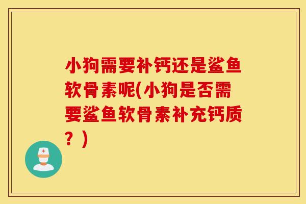 小狗需要补钙还是鲨鱼软骨素呢(小狗是否需要鲨鱼软骨素补充钙质？)