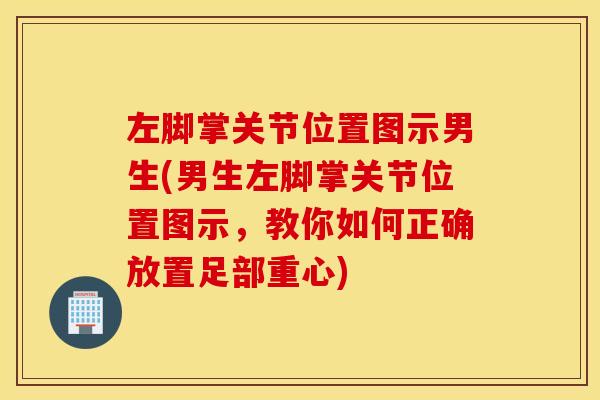 左脚掌关节位置图示男生(男生左脚掌关节位置图示，教你如何正确放置足部重心)