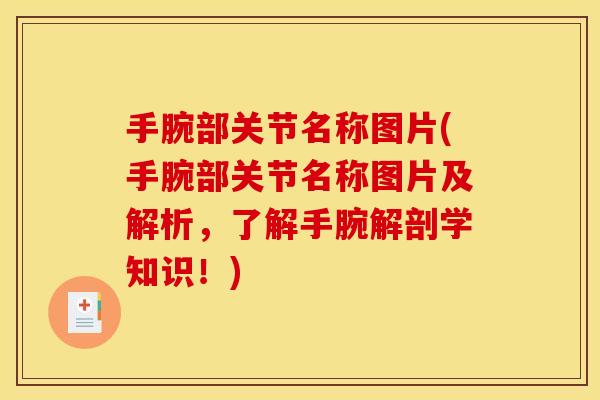 手腕部关节名称图片(手腕部关节名称图片及解析，了解手腕解剖学知识！)