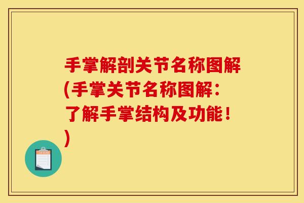手掌解剖关节名称图解(手掌关节名称图解:了解手掌结构及功能!) 手掌解剖关节名称图解(手掌关节名称图解:了解手掌结构及功能!)