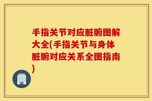 手指关节对应脏腑图解大全(手指关节与身体脏腑对应关系全图指南)