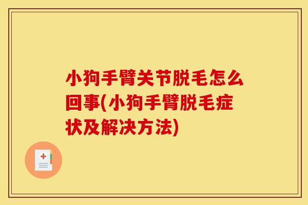 小狗手臂关节脱毛怎么回事(小狗手臂脱毛症状及解决方法)