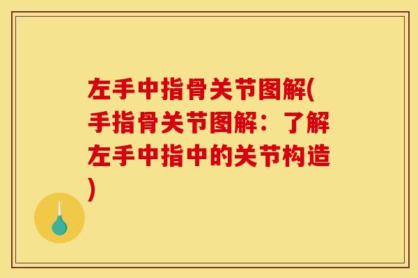 左手中指骨关节图解(手指骨关节图解：了解左手中指中的关节构造)