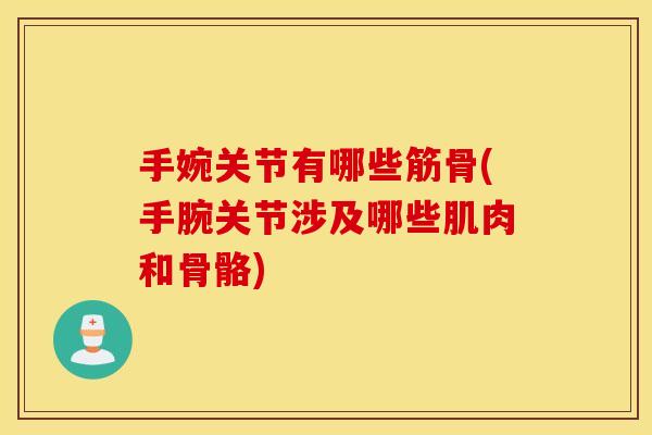手婉关节有哪些筋骨(手腕关节涉及哪些肌肉和骨骼)