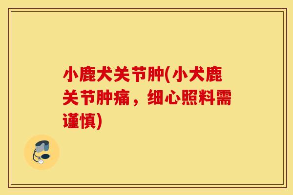 小鹿犬关节肿(小犬鹿关节肿痛，细心照料需谨慎)