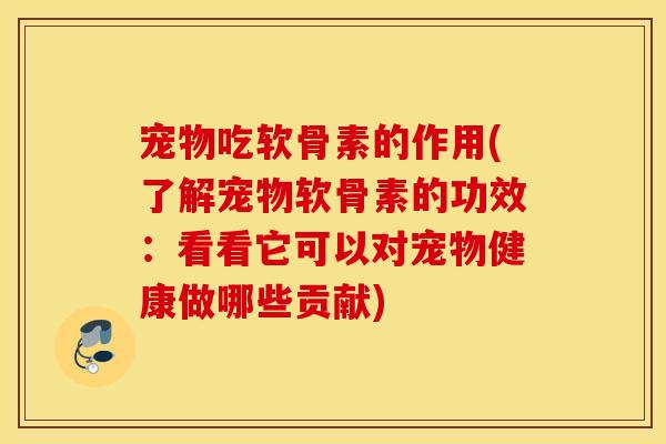 宠物吃软骨素的作用(了解宠物软骨素的功效：看看它可以对宠物健康做哪些贡献)