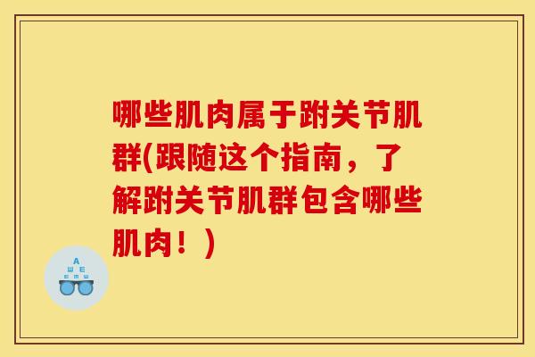 哪些肌肉属于跗关节肌群(跟随这个指南，了解跗关节肌群包含哪些肌肉！)