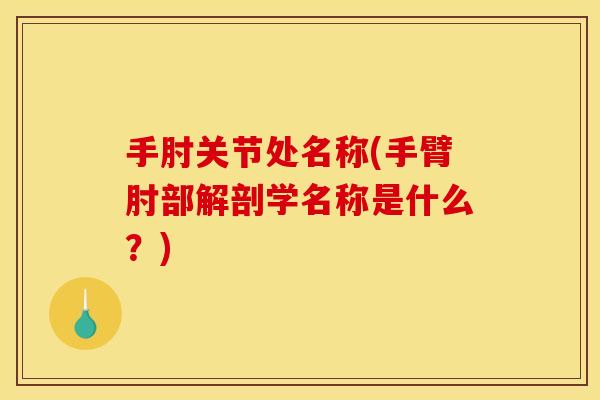 手肘关节处名称(手臂肘部解剖学名称是什么？)