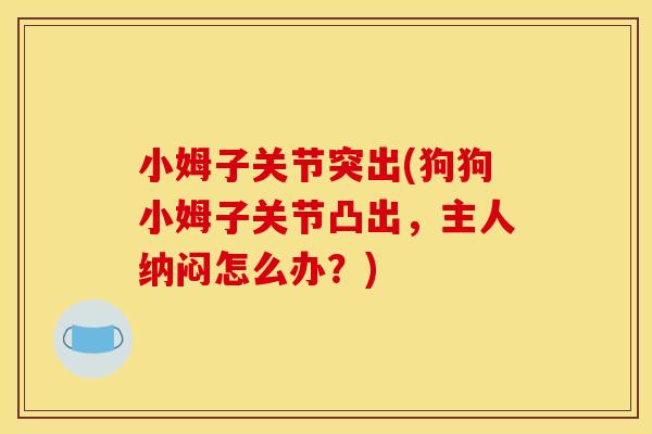 小姆子关节突出(狗狗小姆子关节凸出，主人纳闷怎么办？)