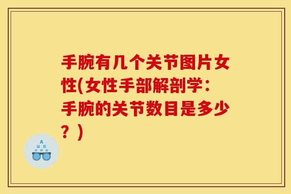手腕有几个关节图片女性(女性手部解剖学：手腕的关节数目是多少？)