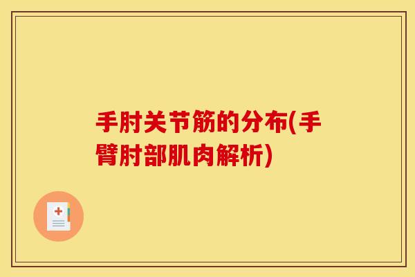 手肘关节筋的分布(手臂肘部肌肉解析)