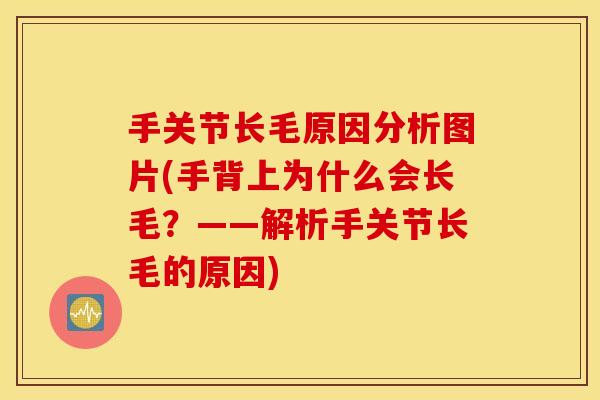 手关节长毛原因分析图片(手背上为什么会长毛?——解析手关节长毛的原因) 手关节长毛原因分析图片(手背上为什么会长毛?——解析手关节长毛的原因)