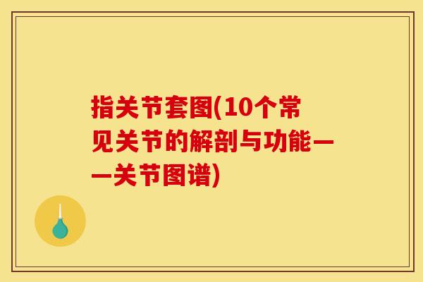 指关节套图(10个常见关节的解剖与功能——关节图谱)