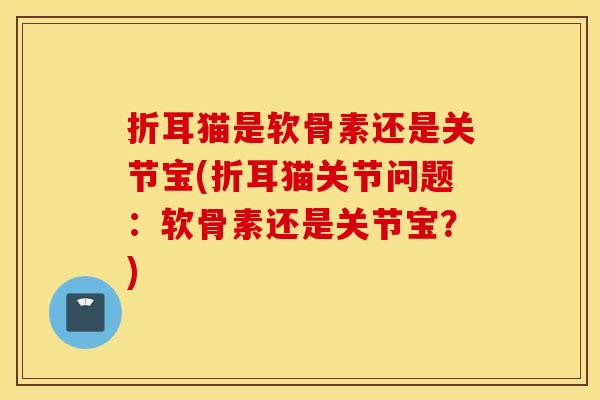 折耳猫是软骨素还是关节宝(折耳猫关节问题：软骨素还是关节宝？)