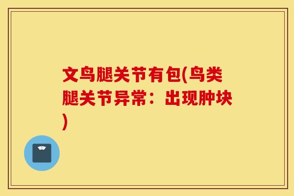 文鸟腿关节有包(鸟类腿关节异常:出现肿块) 文鸟腿关节有包(鸟类腿关节异常:出现肿块)