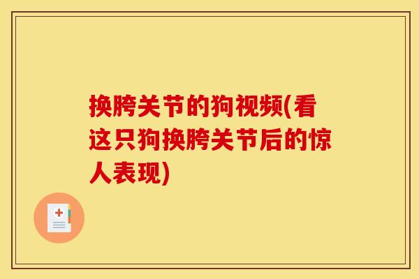 换胯关节的狗视频(看这只狗换胯关节后的惊人表现)