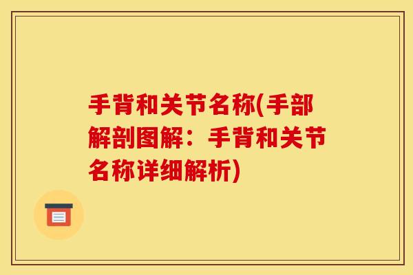 手背和关节名称(手部解剖图解：手背和关节名称详细解析)