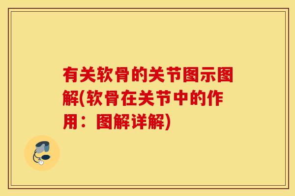 有关软骨的关节图示图解(软骨在关节中的作用:图解详解) 有关软骨的关节图示图解(软骨在关节中的作用:图解详解)