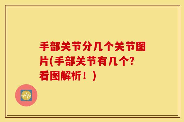 手部关节分几个关节图片(手部关节有几个？看图解析！)