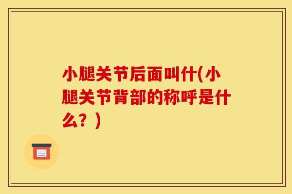 小腿关节后面叫什(小腿关节背部的称呼是什么？)
