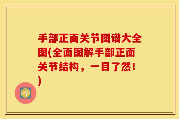 手部正面关节图谱大全图(全面图解手部正面关节结构，一目了然！)