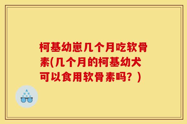 柯基幼崽几个月吃软骨素(几个月的柯基幼犬可以食用软骨素吗？)