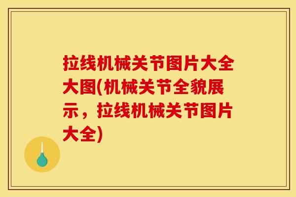 拉线机械关节图片大全大图(机械关节全貌展示，拉线机械关节图片大全)