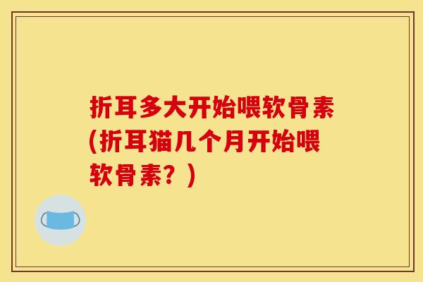 折耳多大开始喂软骨素(折耳猫几个月开始喂软骨素？)