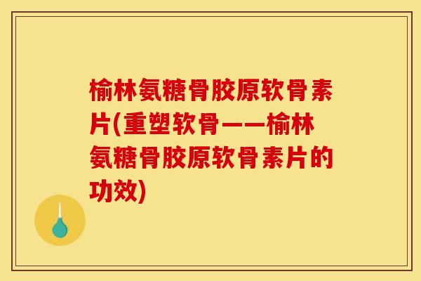 榆林氨糖骨胶原软骨素片(重塑软骨——榆林氨糖骨胶原软骨素片的功效)