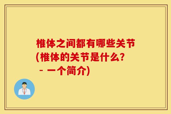 椎体之间都有哪些关节(椎体的关节是什么？ - 一个简介)