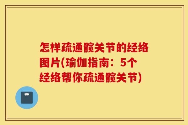 怎样疏通髋关节的经络图片(瑜伽指南：5个经络帮你疏通髋关节)