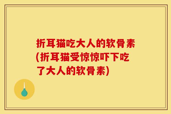 折耳猫吃大人的软骨素(折耳猫受惊惊吓下吃了大人的软骨素)