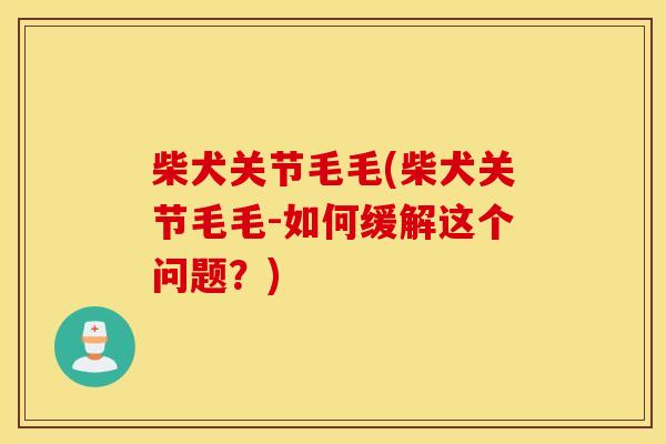 柴犬关节毛毛(柴犬关节毛毛-如何缓解这个问题？)