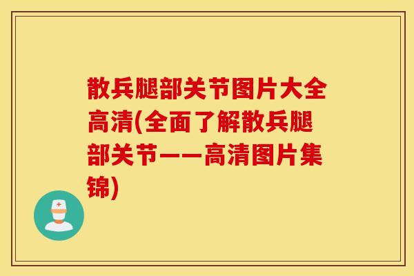 散兵腿部关节图片大全高清(全面了解散兵腿部关节——高清图片集锦)