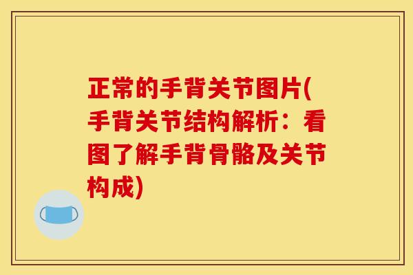 正常的手背关节图片(手背关节结构解析：看图了解手背骨骼及关节构成)