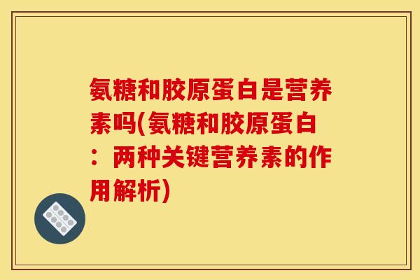 氨糖和胶原蛋白是营养素吗(氨糖和胶原蛋白：两种关键营养素的作用解析)