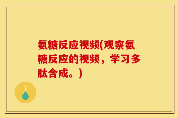 氨糖反应视频(观察氨糖反应的视频，学习多肽合成。)