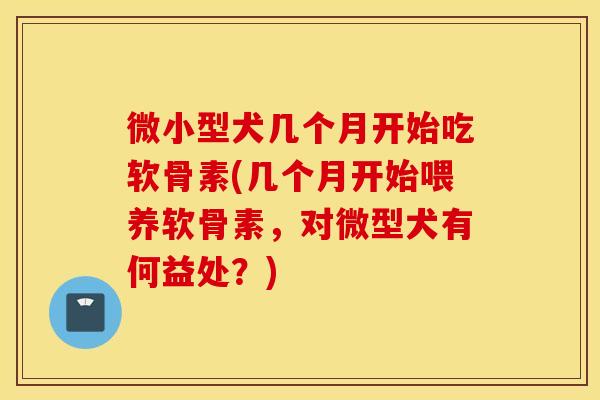 微小型犬几个月开始吃软骨素(几个月开始喂养软骨素，对微型犬有何益处？)
