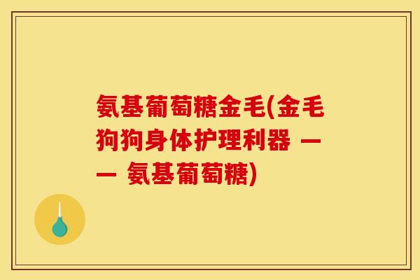 氨基葡萄糖金毛(金毛狗狗身体护理利器 —— 氨基葡萄糖)