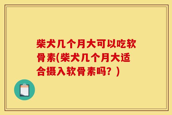 柴犬几个月大可以吃软骨素(柴犬几个月大适合摄入软骨素吗？)