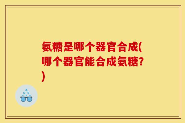 氨糖是哪个器官合成(哪个器官能合成氨糖？)