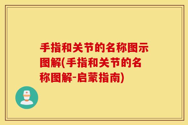手指和关节的名称图示图解(手指和关节的名称图解-启蒙指南)