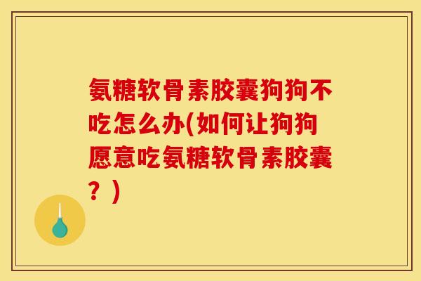 氨糖软骨素胶囊狗狗不吃怎么办(如何让狗狗愿意吃氨糖软骨素胶囊？)