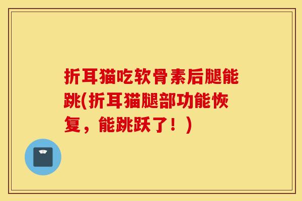折耳猫吃软骨素后腿能跳(折耳猫腿部功能恢复，能跳跃了！)