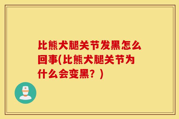 比熊犬腿关节发黑怎么回事(比熊犬腿关节为什么会变黑？)