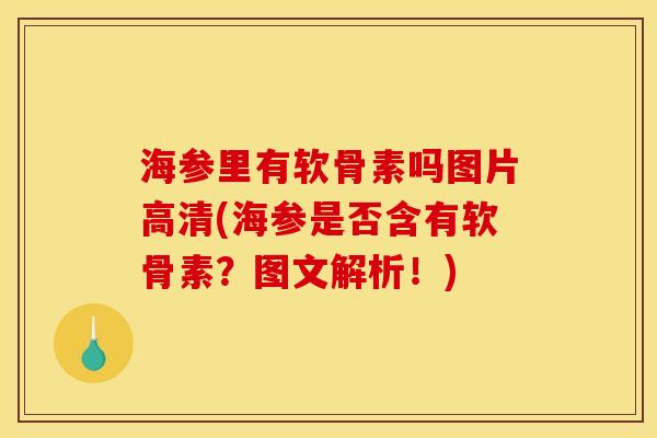 海参里有软骨素吗图片高清(海参是否含有软骨素？图文解析！)